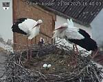 Capi_Dubne_20250421_164003.jpg