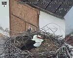 Capi_Dubne_20250421_165503.jpg