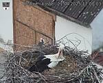 Capi_Dubne_20250421_170003.jpg