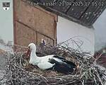 Capi_Dubne_20250421_170502.jpg