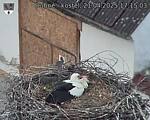Capi_Dubne_20250421_171503.jpg