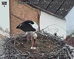 Capi_Dubne_20250421_172503.jpg