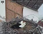 Capi_Dubne_20250421_173502.jpg