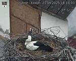 Capi_Dubne_20250421_181003.jpg