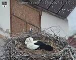 Capi_Dubne_20250421_181502.jpg