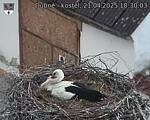 Capi_Dubne_20250421_183003.jpg