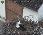 Capi_Dubne_20250421_183503.jpg