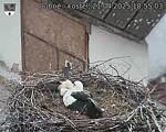 Capi_Dubne_20250421_185503.jpg