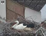 Capi_Dubne_20250421_190502.jpg