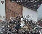 Capi_Dubne_20250421_194003.jpg
