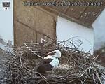 Capi_Dubne_20250421_194502.jpg