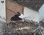 Capi_Dubne_20250421_195503.jpg
