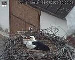 Capi_Dubne_20250421_200002.jpg