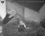 Capi_Dubne_20250421_203502.jpg