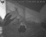 Capi_Dubne_20250421_204502.jpg