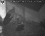 Capi_Dubne_20250421_205502.jpg