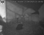 Capi_Dubne_20250421_211002.jpg
