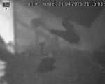 Capi_Dubne_20250421_211503.jpg