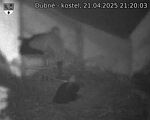 Capi_Dubne_20250421_212003.jpg