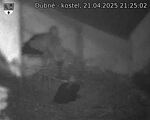 Capi_Dubne_20250421_212502.jpg