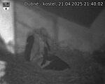 Capi_Dubne_20250421_214002.jpg