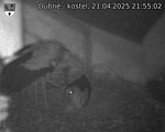 Capi_Dubne_20250421_215502.jpg