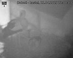Capi_Dubne_20250421_220003.jpg