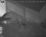 Capi_Dubne_20250421_220503.jpg