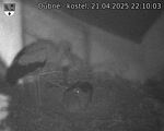 Capi_Dubne_20250421_221003.jpg