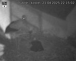 Capi_Dubne_20250421_221502.jpg