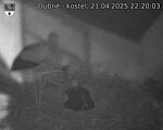 Capi_Dubne_20250421_222003.jpg
