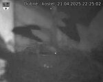 Capi_Dubne_20250421_222502.jpg