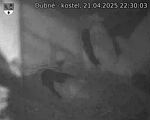 Capi_Dubne_20250421_223003.jpg