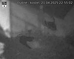 Capi_Dubne_20250421_225502.jpg