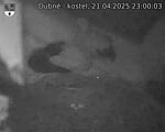Capi_Dubne_20250421_230003.jpg