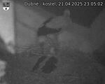 Capi_Dubne_20250421_230502.jpg