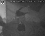 Capi_Dubne_20250421_232503.jpg