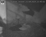 Capi_Dubne_20250421_234502.jpg