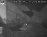 Capi_Dubne_20250421_235502.jpg