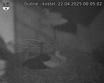 Capi_Dubne_20250422_000502.jpg