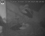 Capi_Dubne_20250422_002002.jpg
