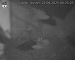 Capi_Dubne_20250422_002503.jpg