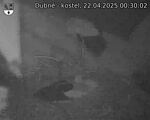 Capi_Dubne_20250422_003002.jpg