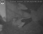 Capi_Dubne_20250422_003503.jpg