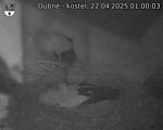 Capi_Dubne_20250422_010003.jpg