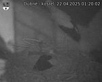 Capi_Dubne_20250422_012002.jpg
