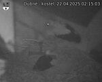 Capi_Dubne_20250422_021503.jpg