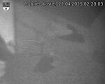 Capi_Dubne_20250422_022003.jpg