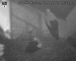 Capi_Dubne_20250422_051503.jpg