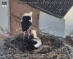 Capi_Dubne_20250422_063503.jpg